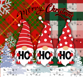 Gnome's Little Christmas